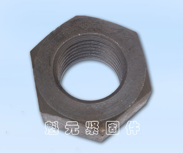 高溫高壓螺母